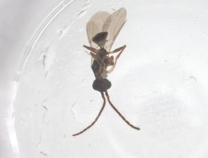  ( - CBG-B24118-B01)  @11 [ ] CreativeCommons - Attribution Share - Alike (2025) Centre for Biodiversity Genomics Centre for Biodiversity Genomics