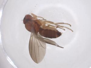  ( - CBG-B24124-F03)  @11 [ ] CreativeCommons - Attribution Share - Alike (2025) Centre for Biodiversity Genomics Centre for Biodiversity Genomics