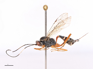  ( - CBG-B19315-B07)  @11 [ ] CreativeCommons - Attribution Share - Alike (2025) CBG Photography Group Centre for Biodiversity Genomics