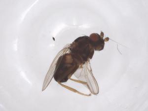  ( - CBG-A59443-G09)  @11 [ ] CreativeCommons - Attribution Share - Alike (2024) Centre for Biodiversity Genomics Centre for Biodiversity Genomics