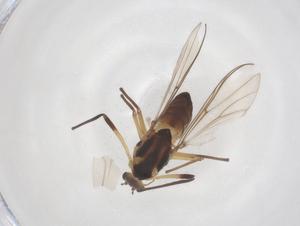  ( - CBG-B00855-C07)  @11 [ ] CreativeCommons - Attribution Share - Alike (2025) Centre for Biodiversity Genomics Centre for Biodiversity Genomics