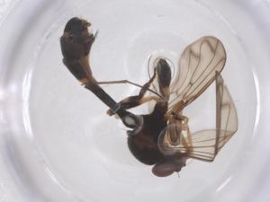  ( - CBG-B00860-F02)  @11 [ ] CreativeCommons - Attribution Share - Alike (2025) Centre for Biodiversity Genomics Centre for Biodiversity Genomics