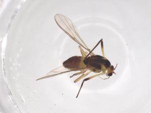  ( - CBG-B01343-G12)  @11 [ ] CreativeCommons - Attribution Share - Alike (2025) Centre for Biodiversity Genomics Centre for Biodiversity Genomics