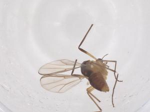  ( - CBG-B01349-B11)  @11 [ ] CreativeCommons - Attribution Share - Alike (2025) Centre for Biodiversity Genomics Centre for Biodiversity Genomics