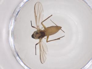  ( - CBG-B01690-B06)  @11 [ ] CreativeCommons - Attribution Share - Alike (2025) Centre for Biodiversity Genomics Centre for Biodiversity Genomics