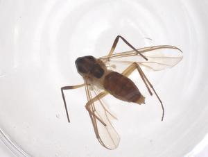  ( - CBG-B02021-H08)  @11 [ ] CreativeCommons - Attribution Share - Alike (2025) Centre for Biodiversity Genomics Centre for Biodiversity Genomics