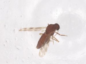  ( - CBG-B00726-G05)  @11 [ ] CreativeCommons - Attribution Share - Alike (2025) Centre for Biodiversity Genomics Centre for Biodiversity Genomics