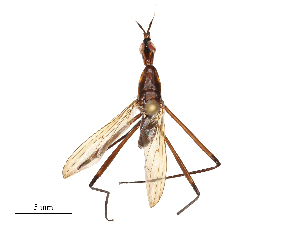  ( - CBG-B01176-A05)  @11 [ ] CreativeCommons - Attribution Share - Alike (2025) CBG Photography Group Centre for Biodiversity Genomics