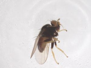  ( - CBG-B01438-C12)  @11 [ ] CreativeCommons - Attribution Share - Alike (2025) Centre for Biodiversity Genomics Centre for Biodiversity Genomics