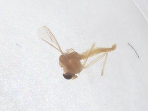  ( - CBG-B01440-A11)  @11 [ ] CreativeCommons - Attribution Share - Alike (2025) Centre for Biodiversity Genomics Centre for Biodiversity Genomics