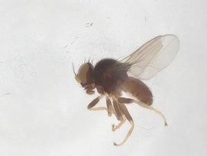  ( - CBG-B02428-A02)  @11 [ ] CreativeCommons - Attribution Share - Alike (2025) Centre for Biodiversity Genomics Centre for Biodiversity Genomics