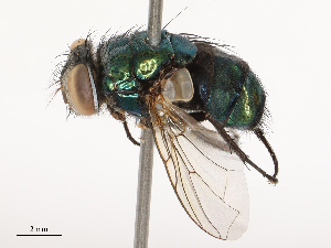  ( - CBG-B02497-C09)  @11 [ ] CreativeCommons - Attribution Share - Alike (2025) CBG Photography Group Centre for Biodiversity Genomics