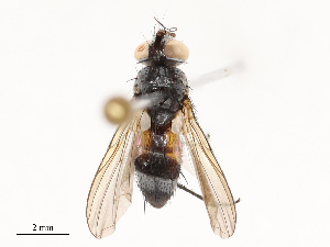  ( - CBG-B20280-B02)  @11 [ ] CreativeCommons - Attribution Share - Alike (2025) CBG Photography Group Centre for Biodiversity Genomics