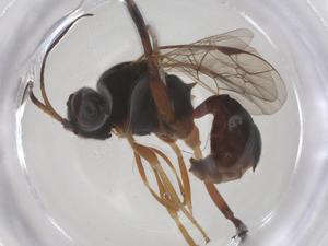  ( - CBG-B20778-G02)  @11 [ ] CreativeCommons - Attribution Share - Alike (2025) Centre for Biodiversity Genomics Centre for Biodiversity Genomics