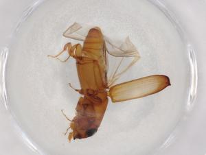  ( - BIOUG87137-C04)  @11 [ ] CreativeCommons - Attribution (2022) Centre for Biodiversity Genomics Centre for Biodiversity Genomics