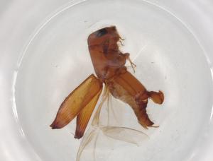  ( - BIOUG89138-C01)  @11 [ ] CreativeCommons - Attribution (2022) Centre for Biodiversity Genomics Centre for Biodiversity Genomics