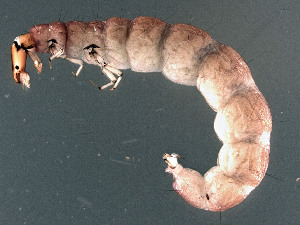  ( - EPAVT152)  @13 [ ] Unspecified (default): All Rights Reserved  Unspecified Unspecified