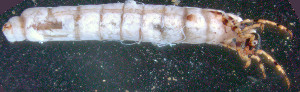  ( - EPAVT195)  @12 [ ] Unspecified (default): All Rights Reserved  Unspecified Unspecified