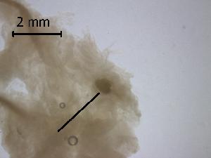  ( - H.RM.B.In.1.2)  @11 [ ] Copyright (2010) Sean Locke Environment Canada