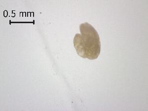  ( - H.RM.B.In.1.2)  @11 [ ] Copyright (2010) Sean Locke Environment Canada