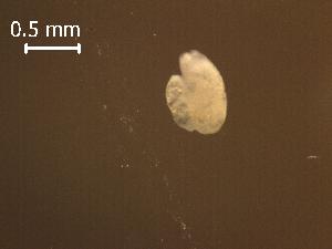  ( - H.RM.B.In.1.2)  @11 [ ] Copyright (2010) Sean Locke Environment Canada