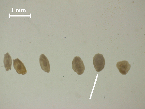  ( - H.RM.D.Cc.1.1)  @11 [ ] Copyright (2010) Sean Locke Environment Canada
