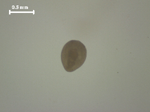  ( - H.RM.IVT.Cc.2F.1)  @11 [ ] Copyright (2010) Sean Locke Environment Canada