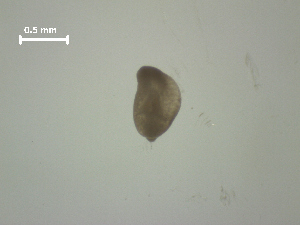  ( - H.RM.IVT.Cco.1f.1)  @11 [ ] Copyright (2010) Sean Locke Environment Canada