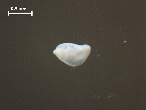  ( - H.RM.IVT.Cco.1f.1)  @11 [ ] Copyright (2010) Sean Locke Environment Canada