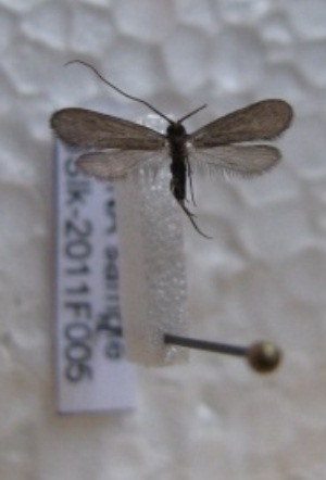  ( - JSlk-2011F005)  @12 [ ] Unspecified (default): All Rights Reserved  Unspecified Unspecified
