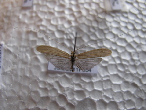  ( - JSlk-2011F054)  @11 [ ] Unspecified (default): All Rights Reserved  Unspecified Unspecified