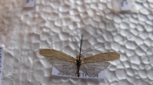  ( - JSlk-2011F054)  @11 [ ] Unspecified (default): All Rights Reserved  Unspecified Unspecified