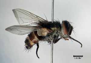  ( - IAvH-TRI-DIPG266)  @11 [ ] Copyright (c) (2022) Wilber Lopez Instituto de Investigaciones Alexander von Humboldt (IAvH)