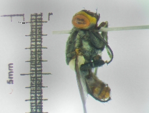  ( - IAvH-TRI-DIPG669)  @11 [ ] Copyright (c) (2022) Wilber Lopez Instituto de Investigaciones Alexander von Humboldt (IAvH)