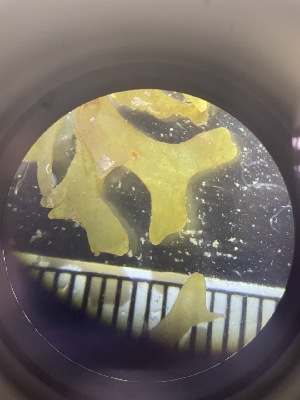  ( - ESC_148_A)  @11 [ ] Unspecified (default): All Rights Reserved  Unspecified Unspecified