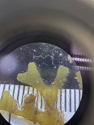  ( - ESC_152_A)  @11 [ ] Unspecified (default): All Rights Reserved  Unspecified Unspecified