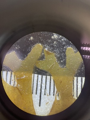  ( - ESC_152_A)  @11 [ ] Unspecified (default): All Rights Reserved  Unspecified Unspecified