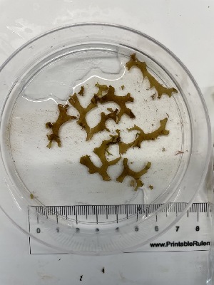  ( - ESC_154_A)  @11 [ ] Unspecified (default): All Rights Reserved  Unspecified Unspecified