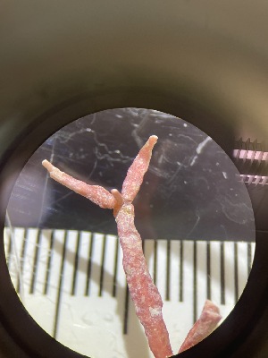  ( - ESC_96_A)  @11 [ ] Unspecified (default): All Rights Reserved  Unspecified Unspecified