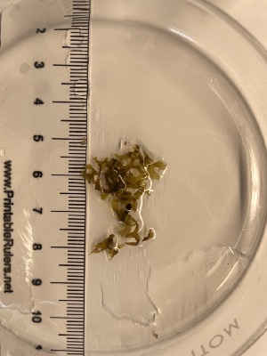  ( - ESC_97_C)  @11 [ ] by-nc-sa (2024) Unspecified Bigelow Laboratory for Ocean Sciences