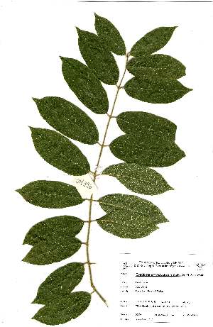  ( - OM0996)  @11 [ ] No Rights Reserved (2011) Olivier Maurin University of Johannesburg