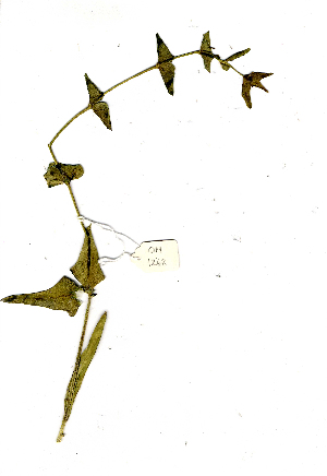  ( - OM1268)  @11 [ ] Unspecified (default): All Rights Reserved  Unspecified Unspecified