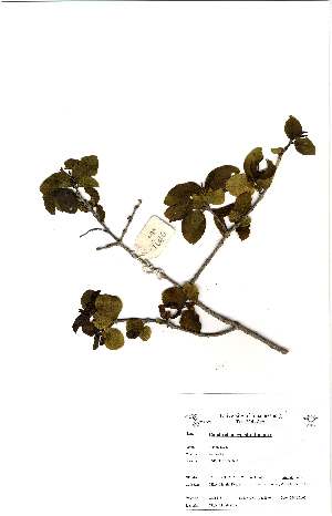  ( - OM1646)  @11 [ ] No Rights Reserved  Unspecified Unspecified