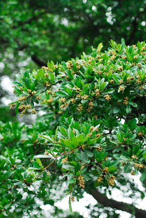  ( - OM1670)  @11 [ ] Unspecified (default): All Rights Reserved  Unspecified Unspecified