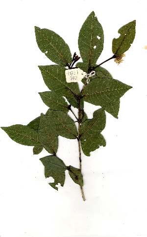  ( - OM1767)  @11 [ ] Unspecified (default): All Rights Reserved  Unspecified Unspecified