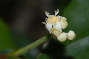  ( - OM2345)  @11 [ ] Unspecified (default): All Rights Reserved  Unspecified Unspecified