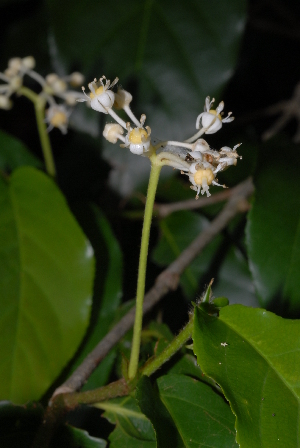  ( - OM2345)  @11 [ ] Unspecified (default): All Rights Reserved  Unspecified Unspecified