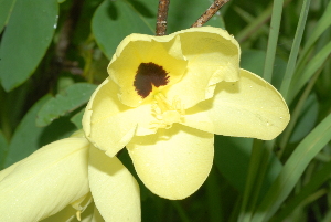  ( - OM2391)  @11 [ ] Unspecified (default): All Rights Reserved  Unspecified Unspecified