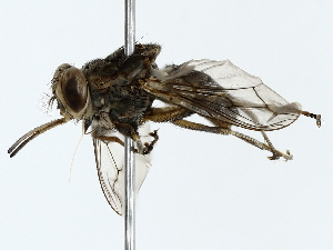  ( - BIOUG80130-B12)  @11 [ ] CreativeCommons - Attribution (2022) CBG Photography Group Centre for Biodiversity Genomics