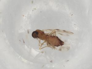  ( - BIOUG98816-E05)  @11 [ ] CreativeCommons - Attribution (2023) Centre for Biodiversity Genomics Centre for Biodiversity Genomics